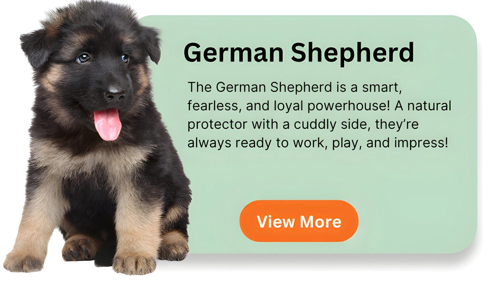 German Shepherd