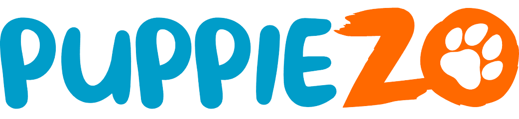 cropped-Screenshot_2023-06-04_at_2.54.52_PM-removebg-preview (1)