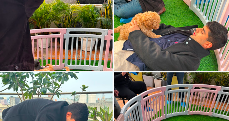 Jatin pet review